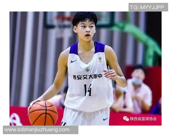 西安篮球队进攻策略分析与得失总结探讨