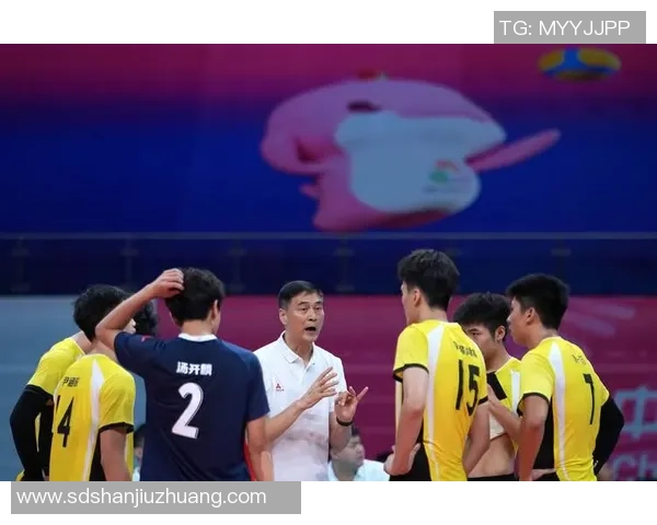 排球技术排行榜揭晓上海排球队荣登第十名引发热议