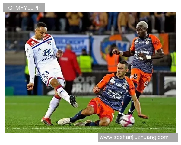 武汉排球队在洲际杯积分榜上以66分稳居第一名表现出色