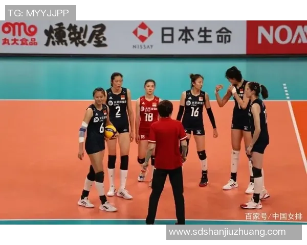 武汉排球队与南京排球队赛后战术分析与复盘探讨